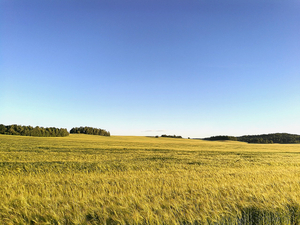 Білорусь image 2